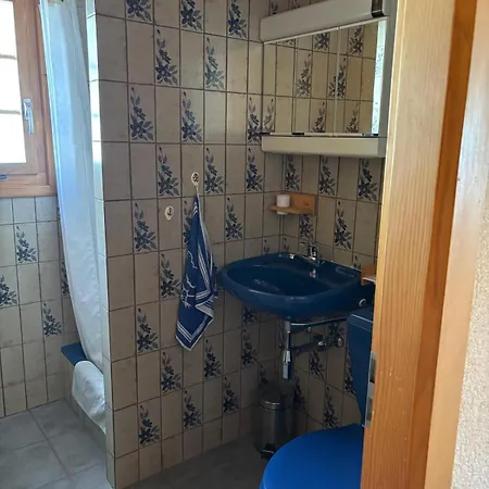 シャレー Familial Rose De Noel