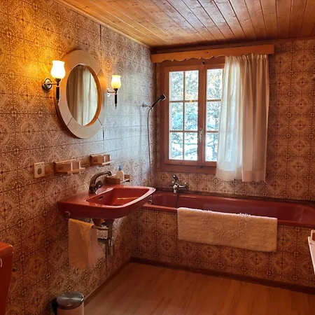 Familial Rose De Noel Les Diablerets