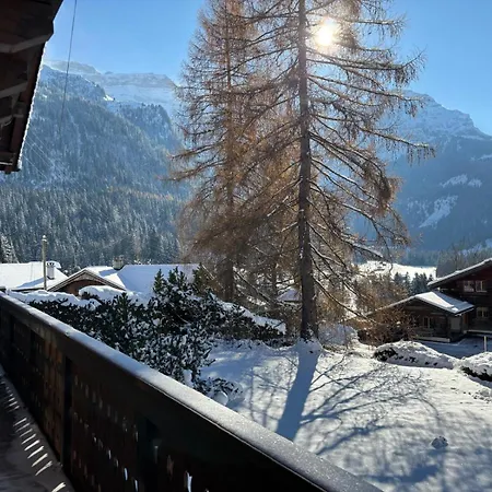Familial Rose De Noel * Les Diablerets