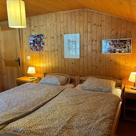 Familial Rose De Noël Chalet Les Diablerets