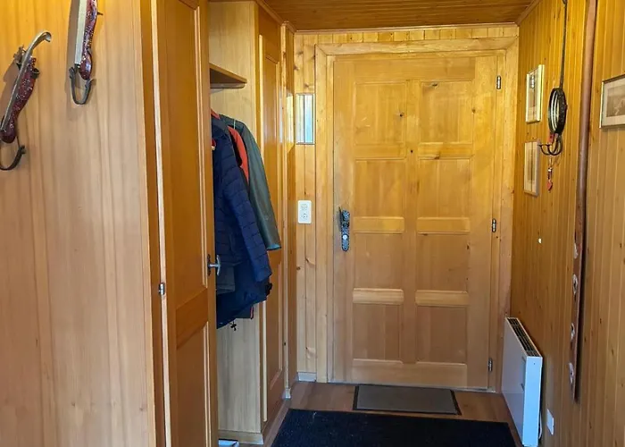 Familial Rose De Noël