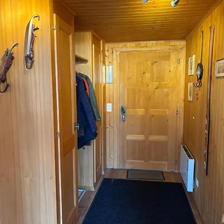 Familial Rose De Noël