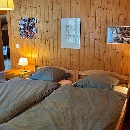 Familial Rose De Noël *