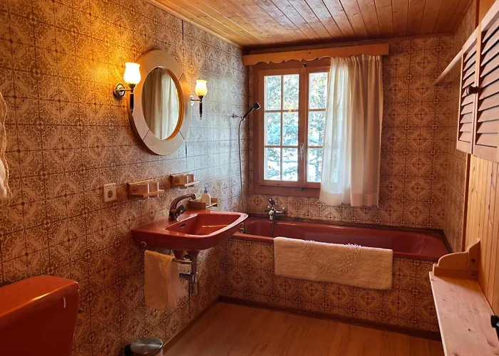 Familial Rose De Noel Les Diablerets