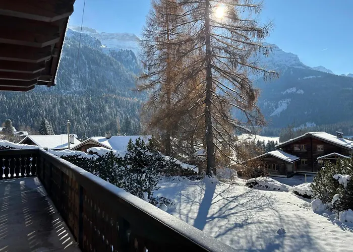 Familial Rose De Noel * Les Diablerets