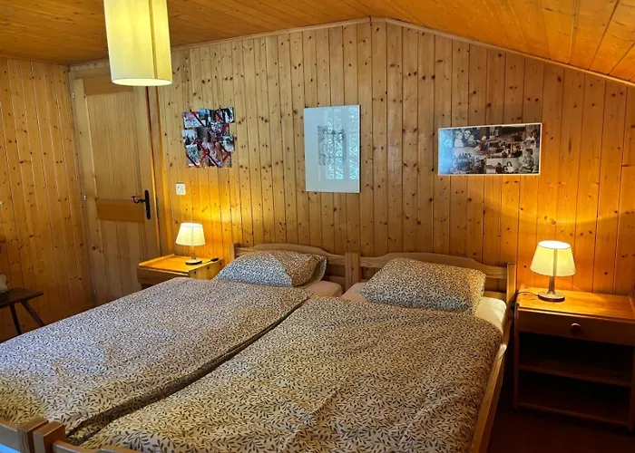 Familial Rose De Noel Alpstuga Les Diablerets